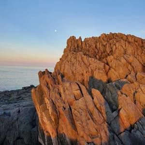 Meet your Posher, Terri